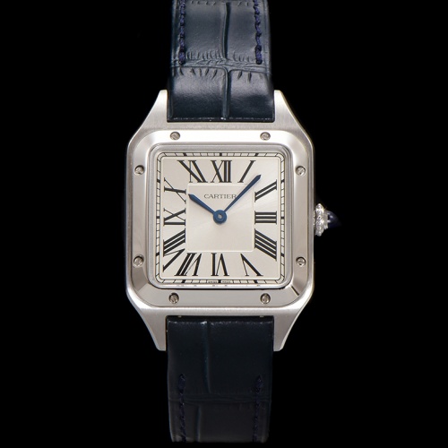 F1 Factory Cartier Santos Wssa0085 — Replica - photo 1